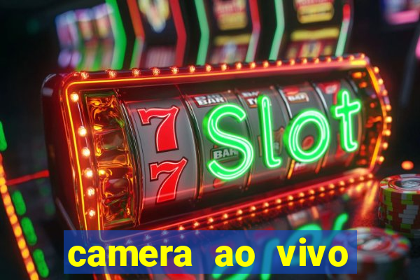 camera ao vivo porto de galinhas